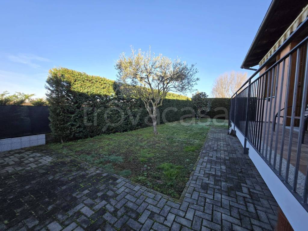 immagine annuncio 9 di 15