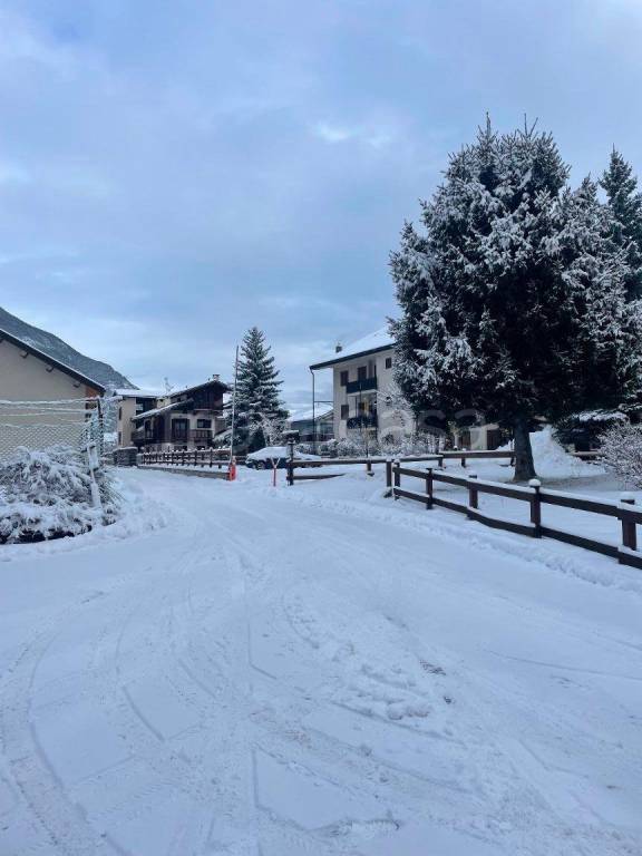 immagine annuncio 2 di 7