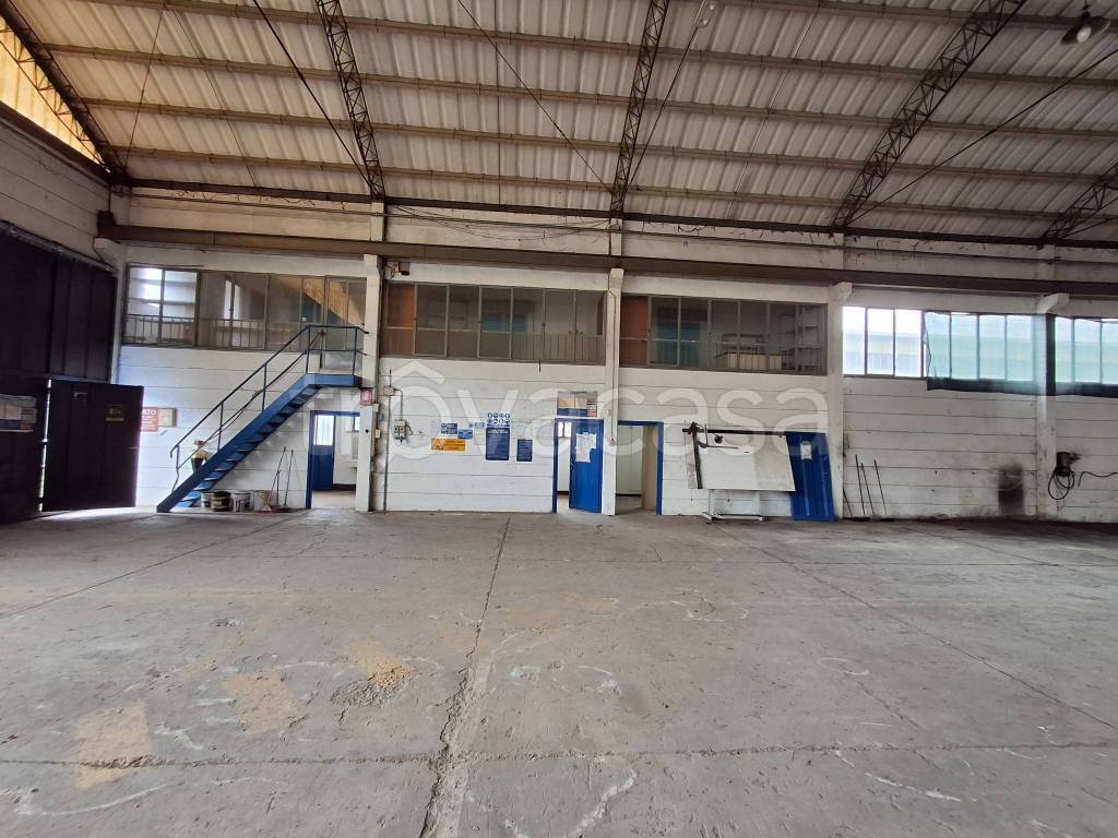 immagine annuncio 10 di 15