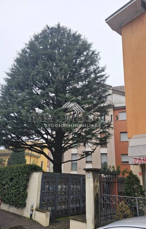 immagine annuncio 7 di 8