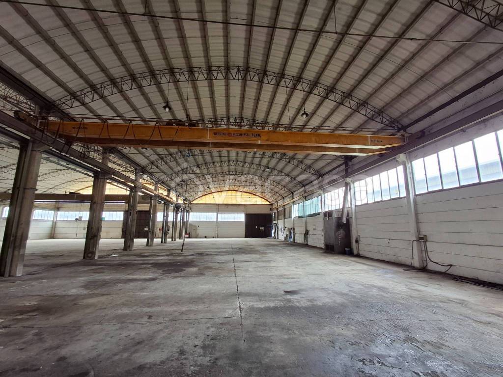 immagine annuncio 12 di 15