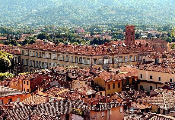 immagine annuncio 14 di 15