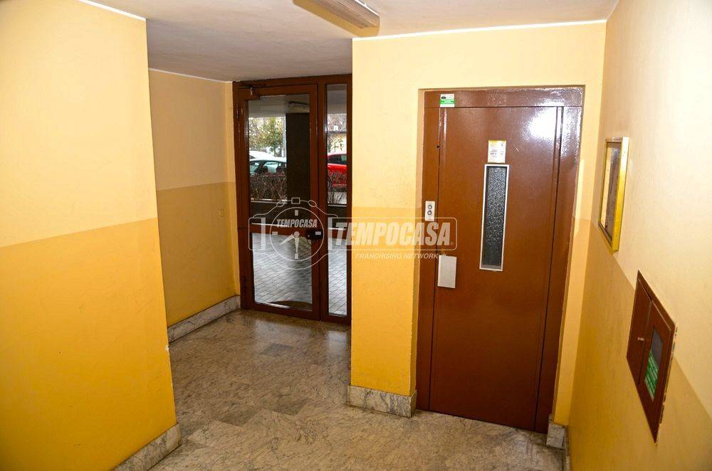 immagine annuncio 4 di 11