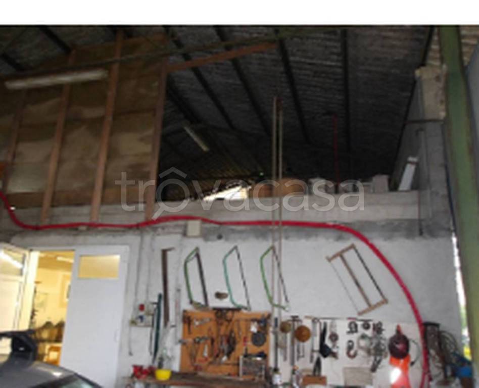 immagine annuncio 4 di 11