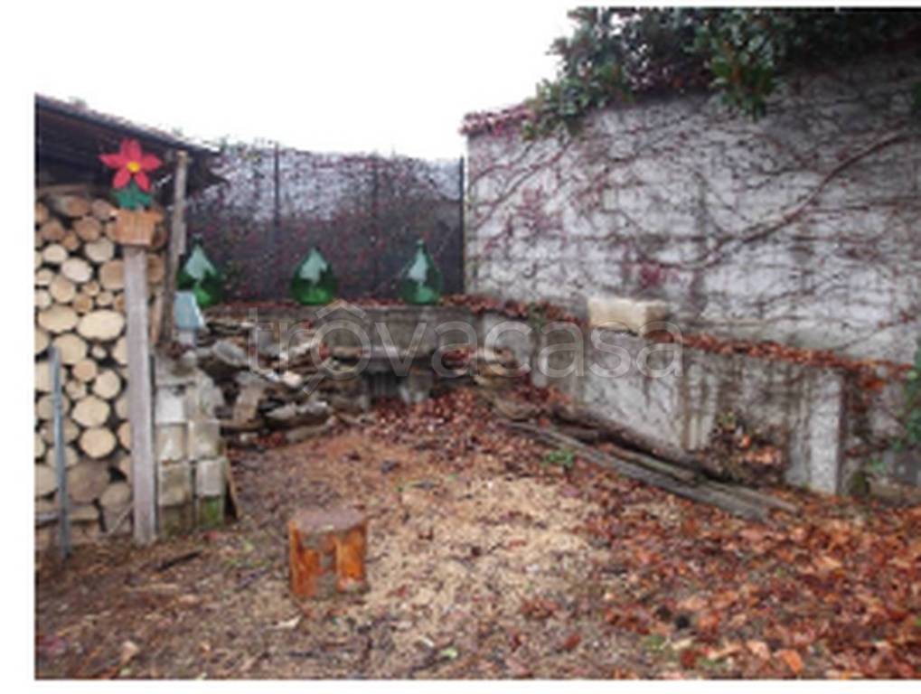 immagine annuncio 6 di 11