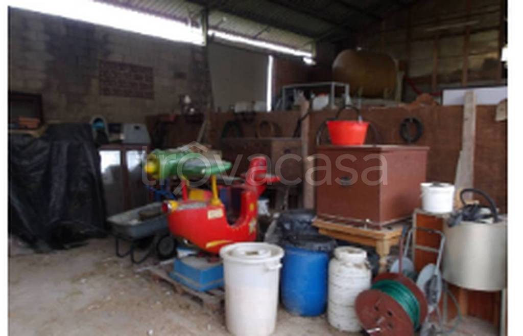 immagine annuncio 7 di 11