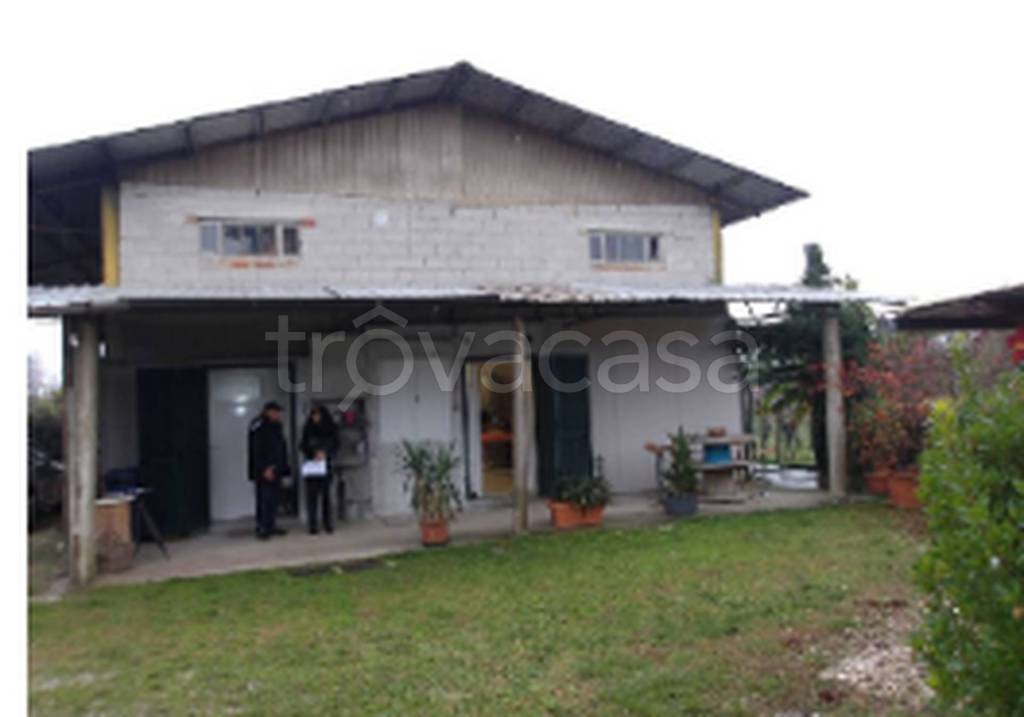 immagine annuncio 8 di 11