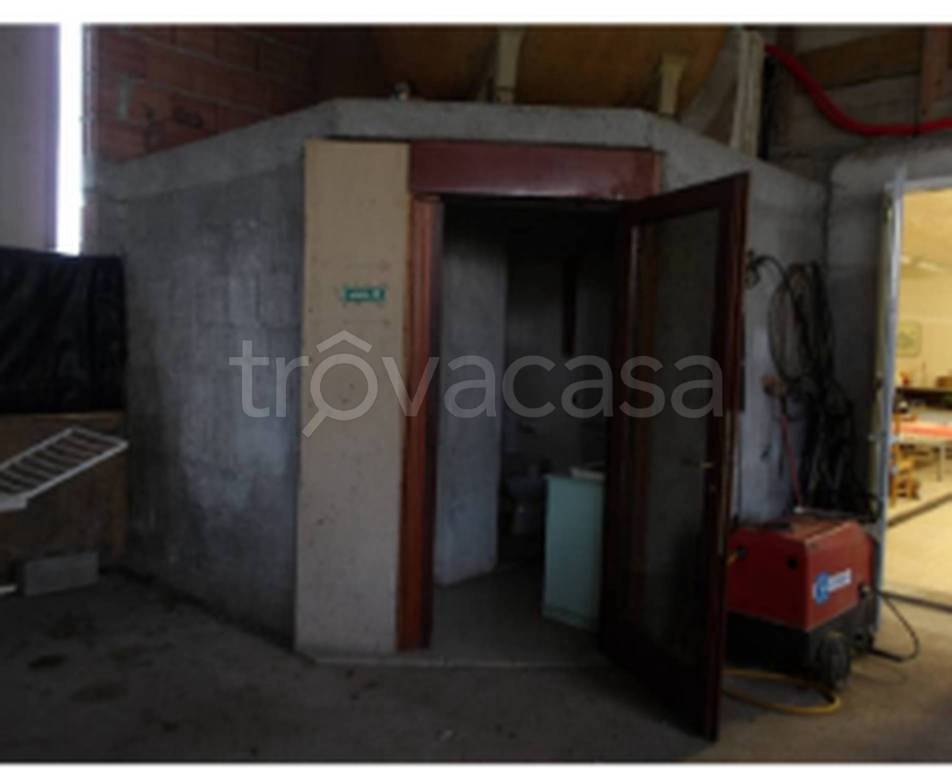 immagine annuncio 9 di 11