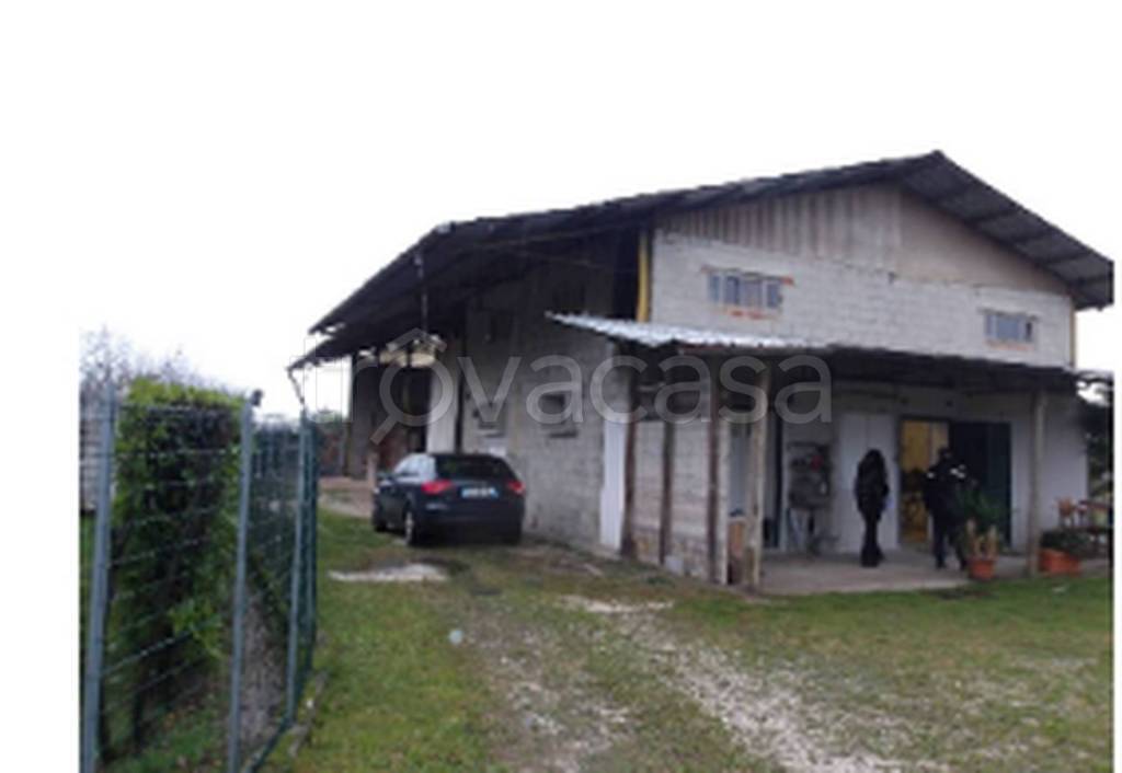 immagine annuncio 10 di 11