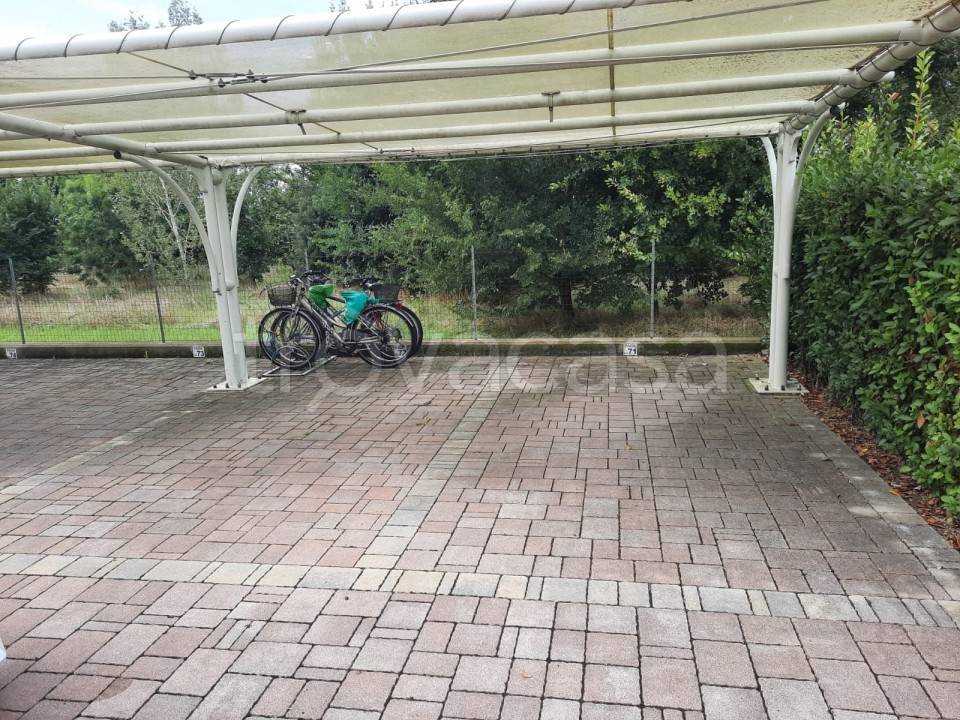 immagine annuncio 12 di 13