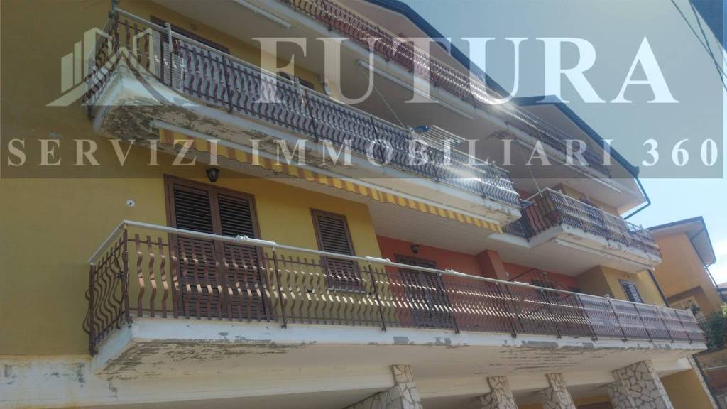 immagine annuncio 12 di 13