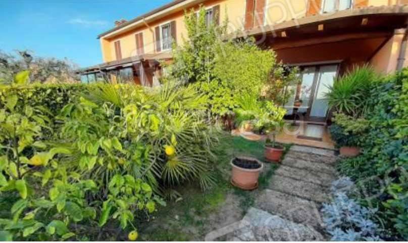 immagine annuncio 11 di 15