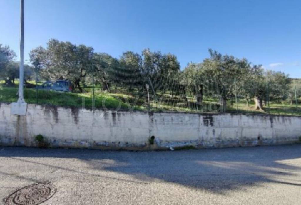 immagine annuncio 3 di 9