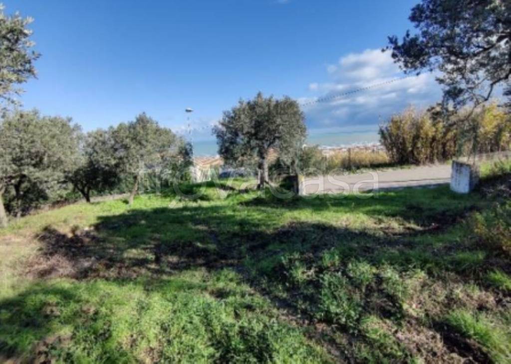 immagine annuncio 4 di 9