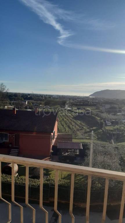 immagine annuncio 5 di 11