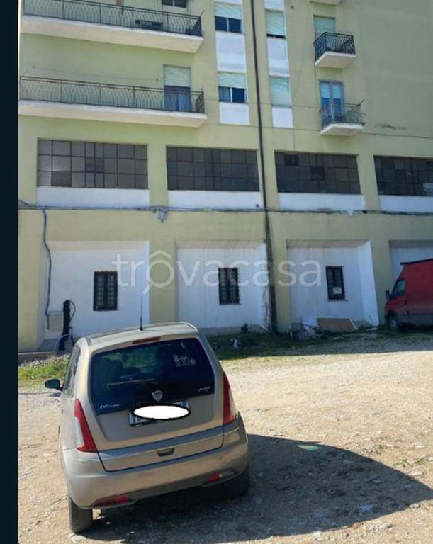 immagine annuncio 6 di 12