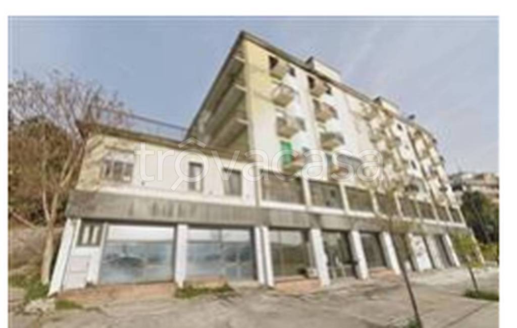 immagine annuncio 7 di 12