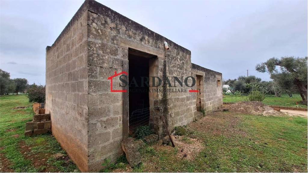 immagine annuncio 3 di 12