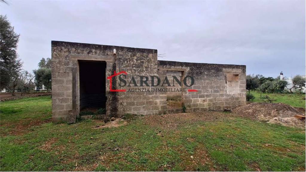 immagine annuncio 4 di 12