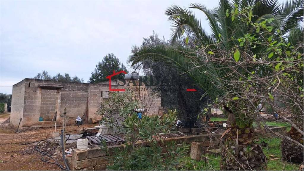 immagine annuncio 6 di 12