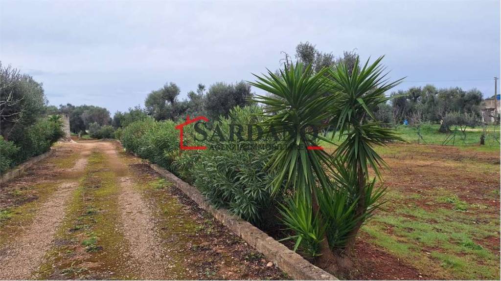 immagine annuncio 8 di 12