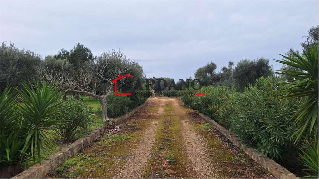 immagine annuncio 9 di 12