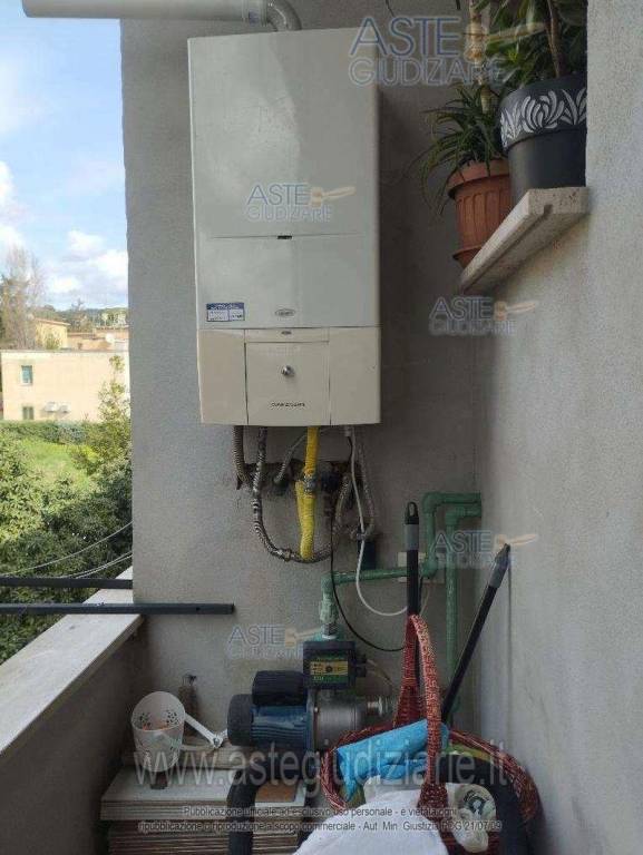 immagine annuncio 9 di 14