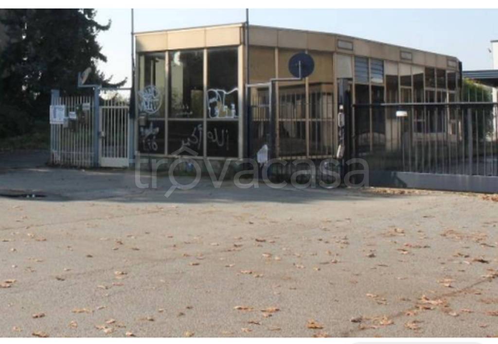 immagine annuncio 1 di 12