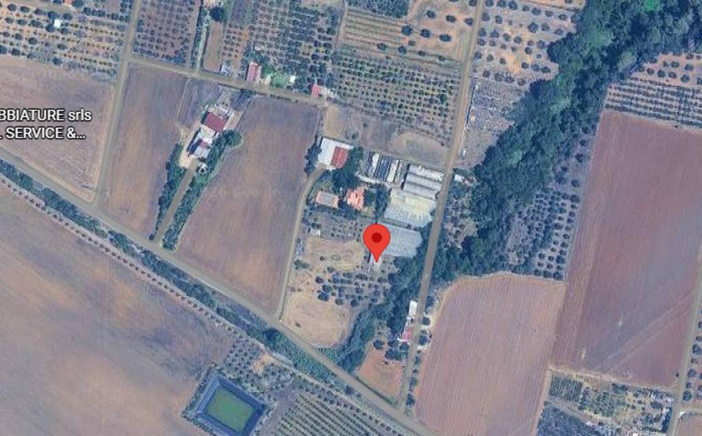 immagine annuncio 2 di 11