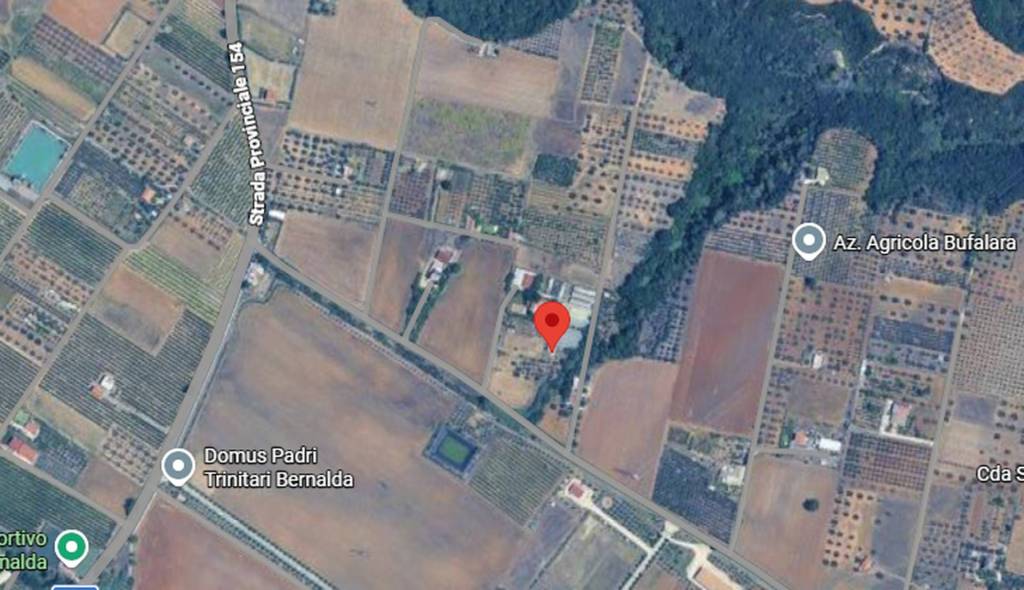 immagine annuncio 4 di 11