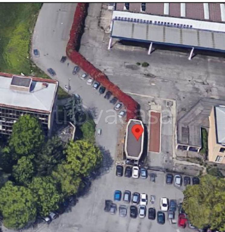 immagine annuncio 10 di 11