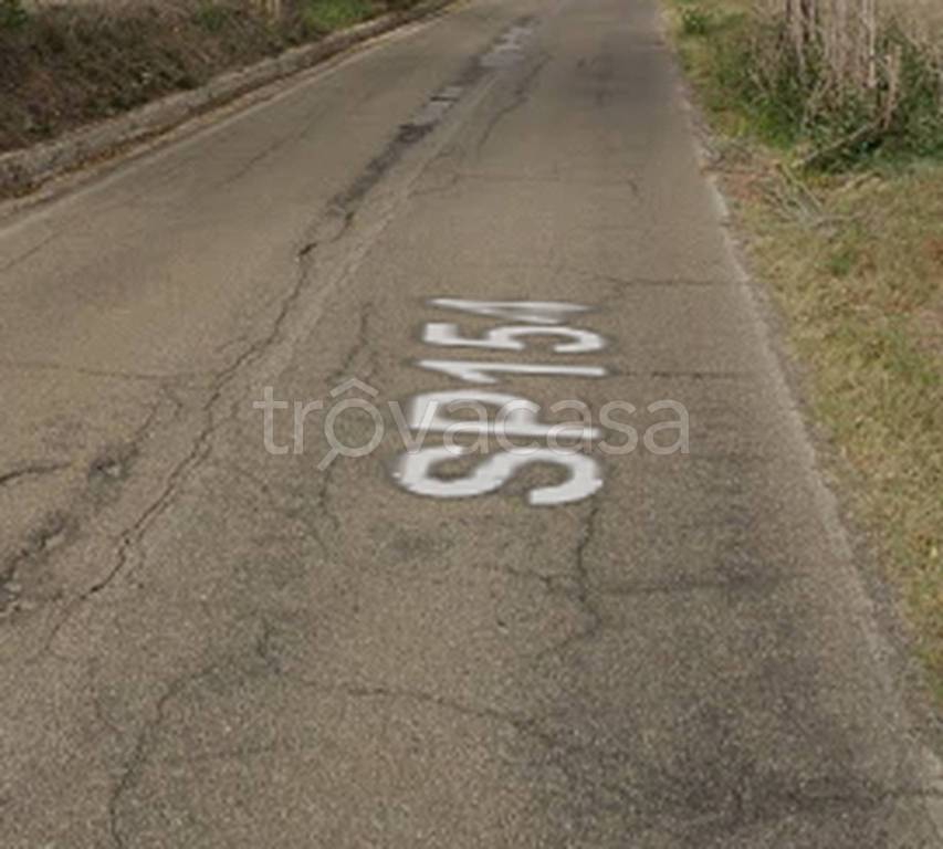 immagine annuncio 8 di 11