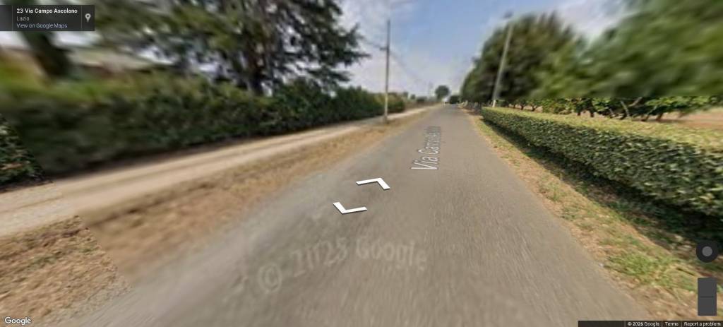 immagine annuncio 3 di 11