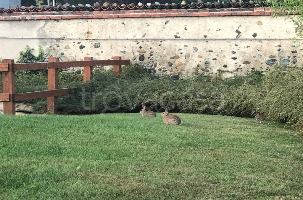 immagine annuncio 13 di 14