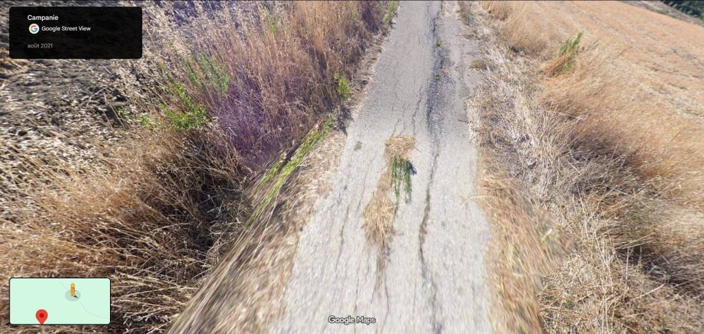 immagine annuncio 2 di 11