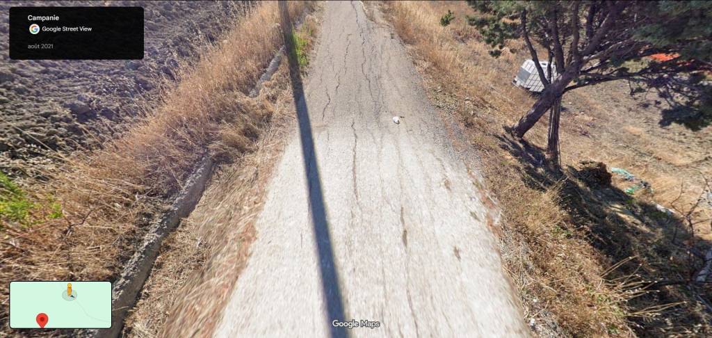 immagine annuncio 6 di 11