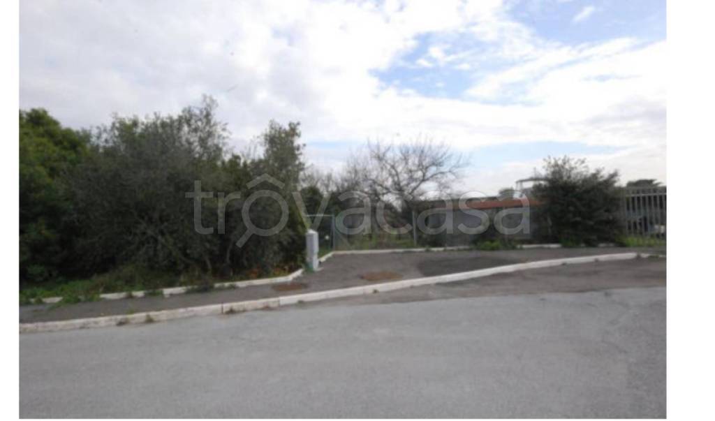 immagine annuncio 1 di 9