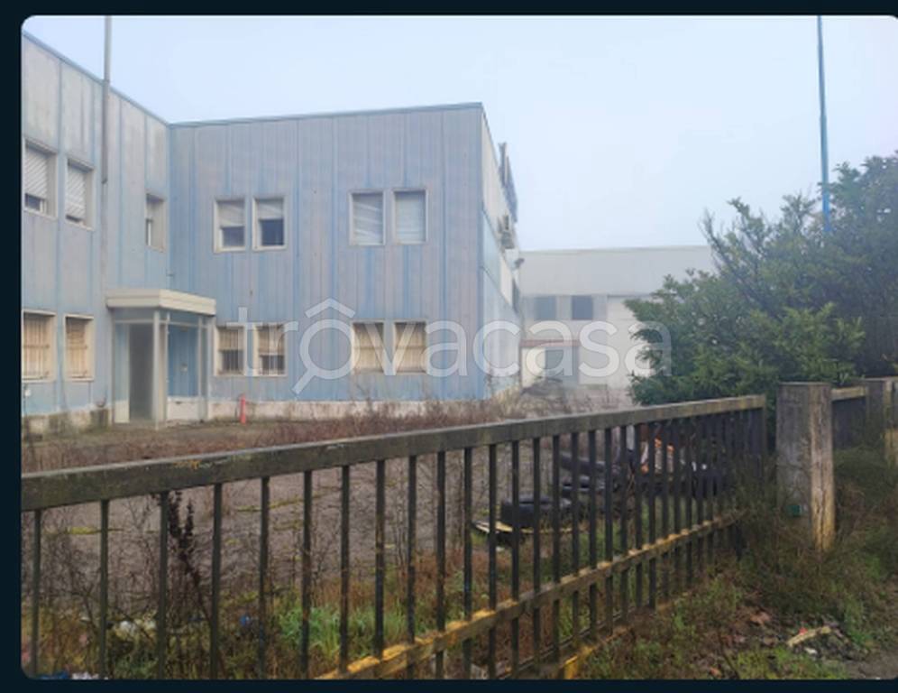 immagine annuncio 3 di 13