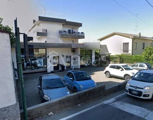 immagine annuncio 3 di 13