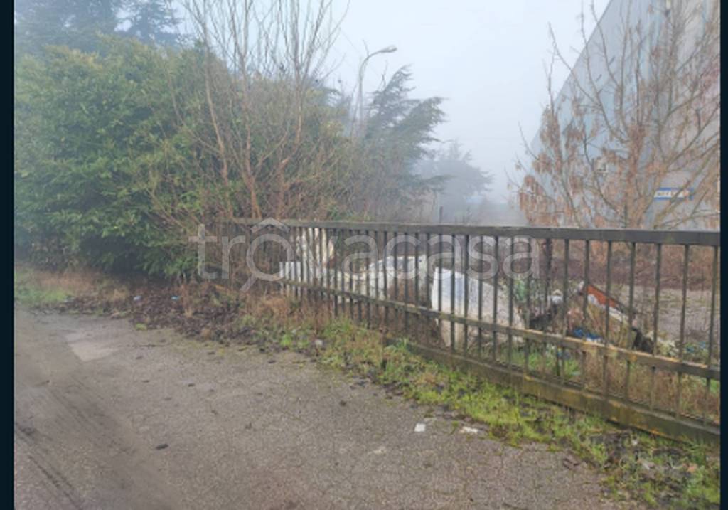 immagine annuncio 4 di 13