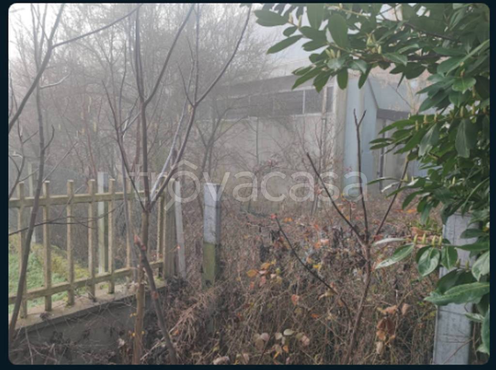 immagine annuncio 7 di 13