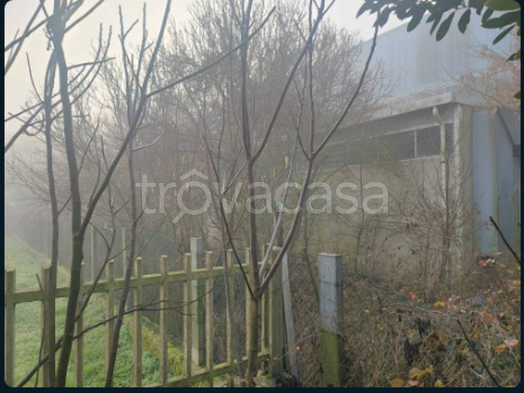 immagine annuncio 8 di 13