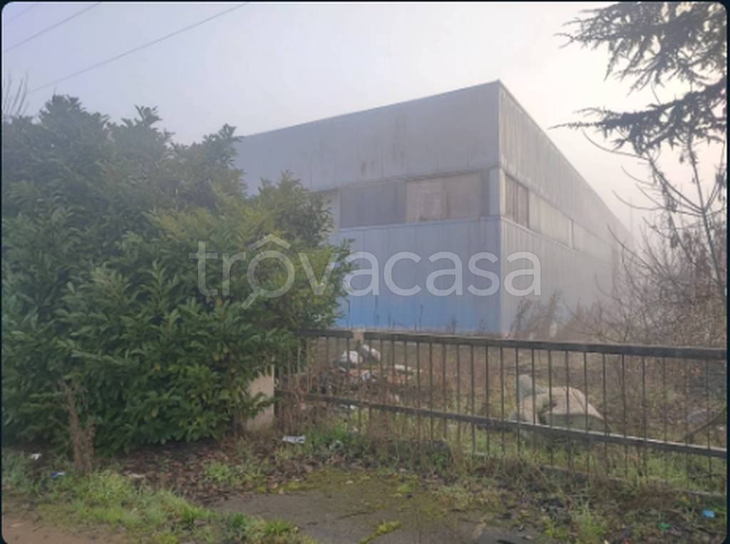 immagine annuncio 10 di 13