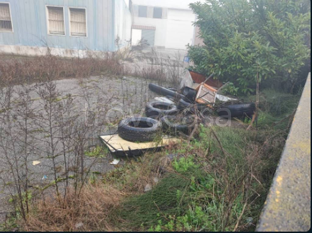 immagine annuncio 11 di 13