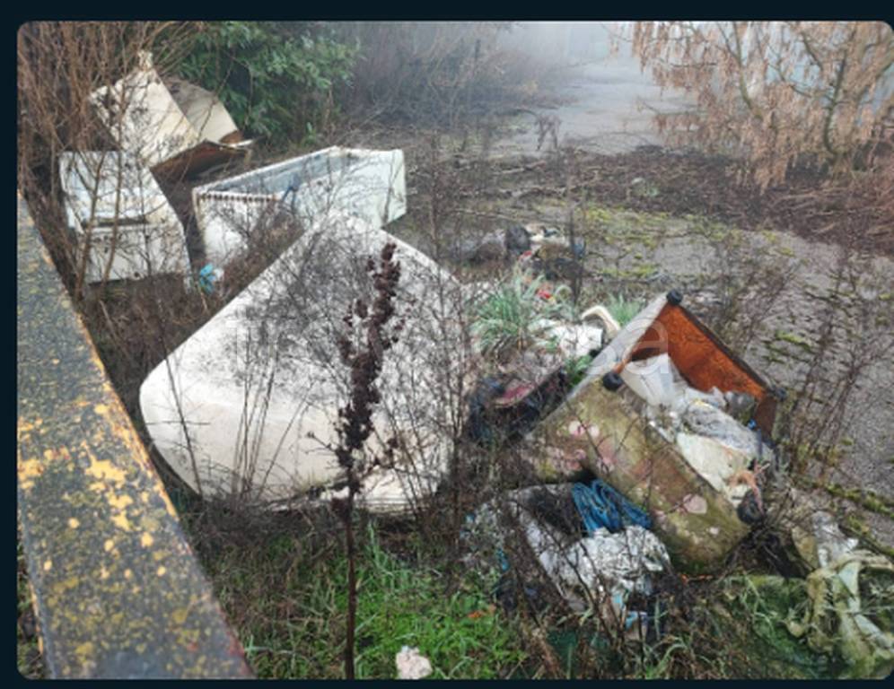 immagine annuncio 12 di 13