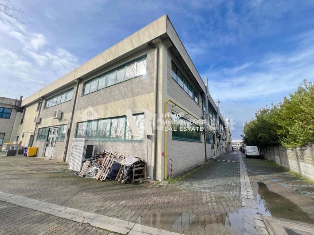 immagine annuncio 14 di 15