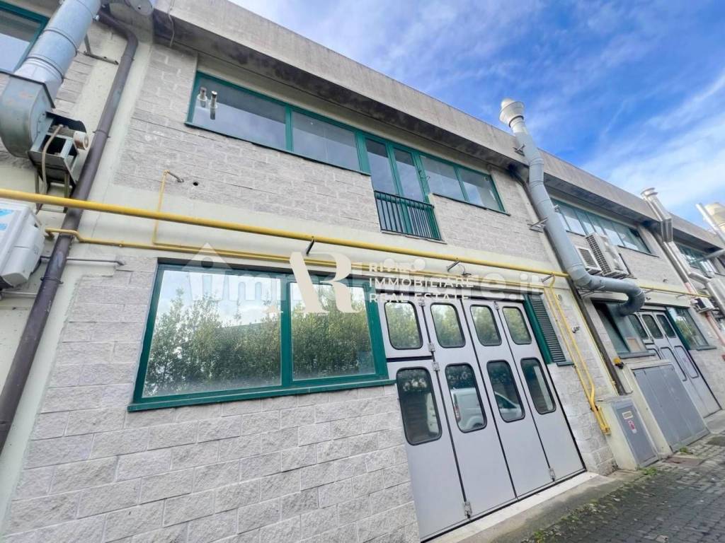 immagine annuncio 10 di 15