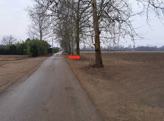 immagine annuncio 5 di 13