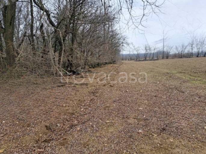 immagine annuncio 8 di 13