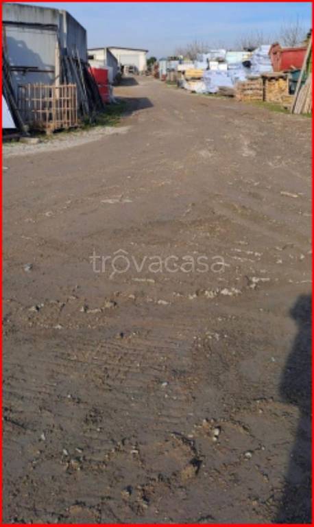 immagine annuncio 4 di 11